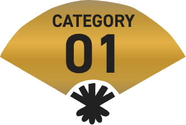 CATEGORY 01