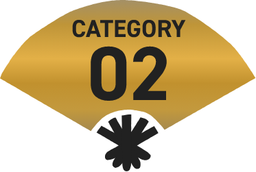 CATEGORY 02