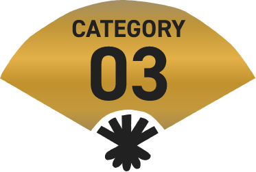CATEGORY 03