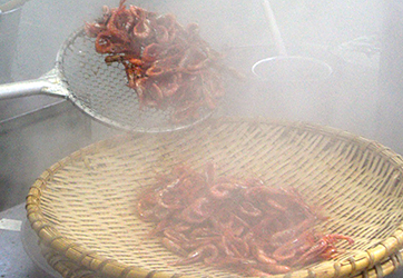 えび佃煮のザル上げ