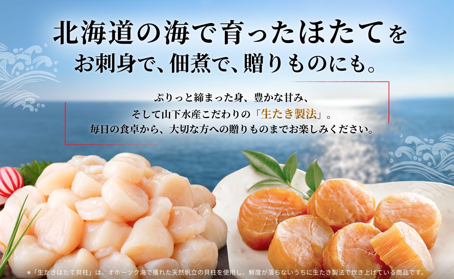 hotate-mv