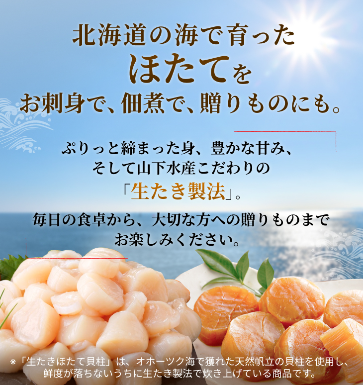 hotate-mv_sp