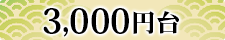 3000円以上